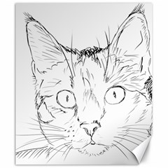 Cat Feline Animal Pet Canvas 20  X 24   by Sapixe