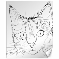 Cat Feline Animal Pet Canvas 11  X 14   by Sapixe