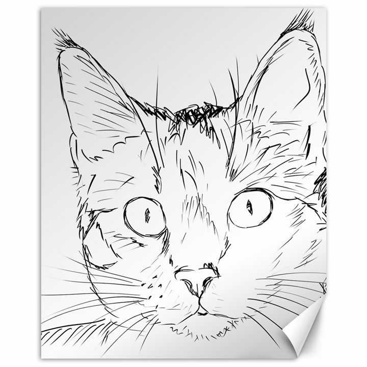 Cat Feline Animal Pet Canvas 11  x 14  