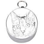 Cat Feline Animal Pet Silver Compasses Front