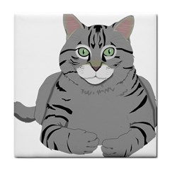 Cat Kitty Gray Tiger Tabby Pet Tile Coasters by Sapixe