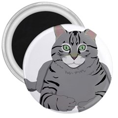 Cat Kitty Gray Tiger Tabby Pet 3  Magnets by Sapixe