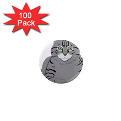 Cat Kitty Gray Tiger Tabby Pet 1  Mini Magnets (100 Pack)  by Sapixe