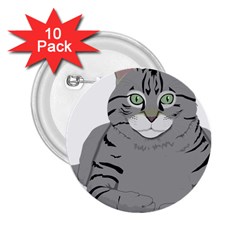 Cat Kitty Gray Tiger Tabby Pet 2 25  Buttons (10 Pack)  by Sapixe