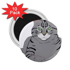 Cat Kitty Gray Tiger Tabby Pet 2 25  Magnets (10 Pack)  by Sapixe