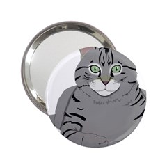 Cat Kitty Gray Tiger Tabby Pet 2 25  Handbag Mirrors by Sapixe