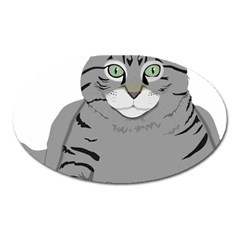 Cat Kitty Gray Tiger Tabby Pet Oval Magnet by Sapixe