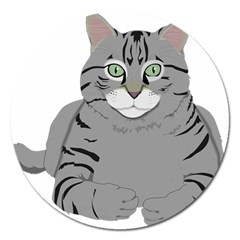 Cat Kitty Gray Tiger Tabby Pet Magnet 5  (round) by Sapixe