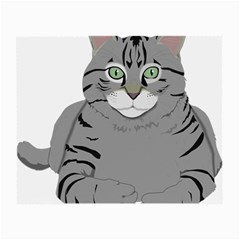 Cat Kitty Gray Tiger Tabby Pet Small Glasses Cloth by Sapixe