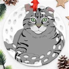 Cat Kitty Gray Tiger Tabby Pet Ornament (round Filigree) by Sapixe