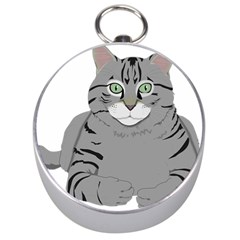 Cat Kitty Gray Tiger Tabby Pet Silver Compasses by Sapixe