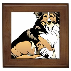 Dog Sitting Pet Collie Animal Framed Tiles by Sapixe