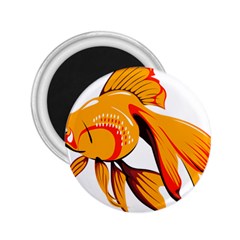 Goldfish Fish Tank Water Tropical 2 25  Magnets by Sapixe