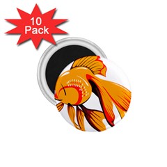 Goldfish Fish Tank Water Tropical 1 75  Magnets (10 Pack)  by Sapixe