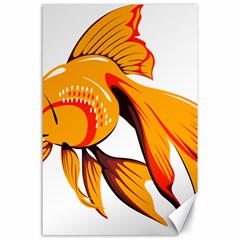 Goldfish Fish Tank Water Tropical Canvas 24  X 36  by Sapixe