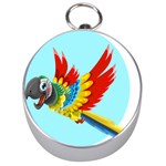 Parrot Animal Bird Wild Zoo Fauna Silver Compasses Front