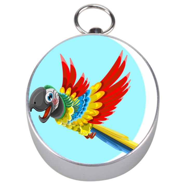 Parrot Animal Bird Wild Zoo Fauna Silver Compasses