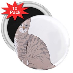 Kitten Cat Drawing Line Art Line 3  Magnets (10 Pack)  by Sapixe