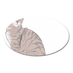 Kitten Cat Drawing Line Art Line Oval Magnet by Sapixe