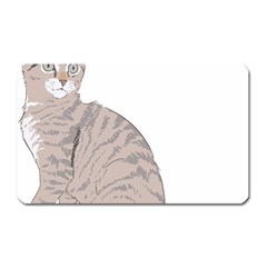 Kitten Cat Drawing Line Art Line Magnet (rectangular) by Sapixe