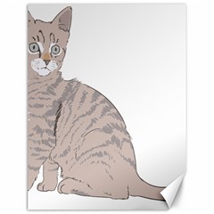 Kitten Cat Drawing Line Art Line Canvas 12  X 16   by Sapixe