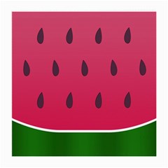 Watermelon Fruit Summer Red Fresh Medium Glasses Cloth (2-side) by Nexatart