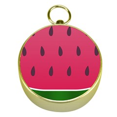 Watermelon Fruit Summer Red Fresh Gold Compasses by Nexatart