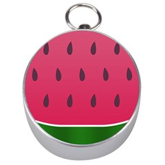 Watermelon Fruit Summer Red Fresh Silver Compasses by Nexatart