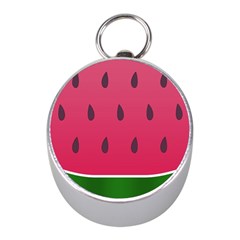 Watermelon Fruit Summer Red Fresh Mini Silver Compasses by Nexatart