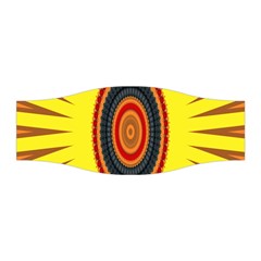 Art Decoration Wallpaper Bright Stretchable Headband by Nexatart