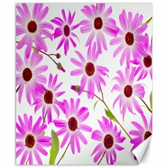 Pink Purple Daisies Design Flowers Canvas 8  X 10  by Nexatart