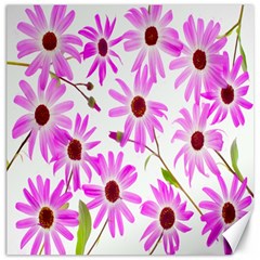 Pink Purple Daisies Design Flowers Canvas 20  X 20   by Nexatart