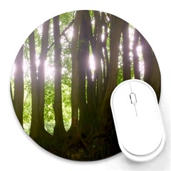 Tree of Trees Round Mousepads