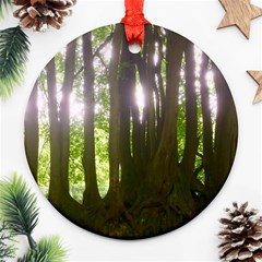 Tree of Trees Ornament (Round)