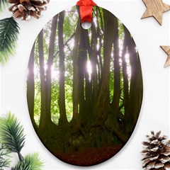 Tree of Trees Ornament (Oval)