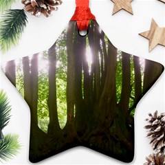 Tree of Trees Ornament (Star)