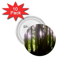 Tree of Trees 1.75  Buttons (10 pack)