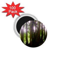 Tree of Trees 1.75  Magnets (100 pack) 