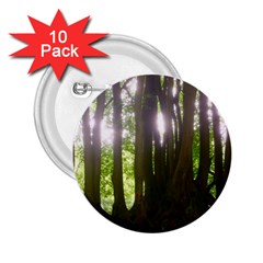 Tree of Trees 2.25  Buttons (10 pack) 