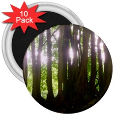 Tree of Trees 3  Magnets (10 pack) 