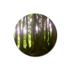 Tree Of Trees Magnet 3  (round)