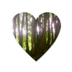 Tree of Trees Heart Magnet