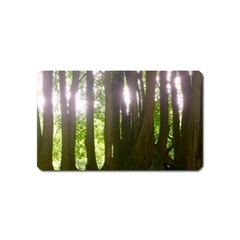 Tree of Trees Magnet (Name Card)