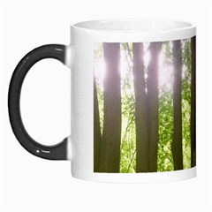 Tree Of Trees Morph Mugs by DeneWestUK