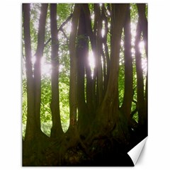 Tree of Trees Canvas 12  x 16  