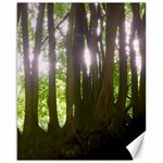 Tree of Trees Canvas 16  x 20   15.75 x19.29  Canvas - 1