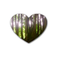 Tree of Trees Heart Coaster (4 pack) 