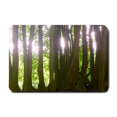 Tree of Trees Small Doormat 