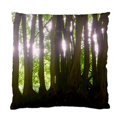 Tree of Trees Standard Cushion Case (One Side)