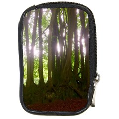 Tree of Trees Compact Camera Cases